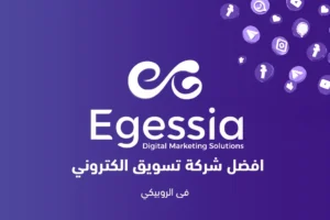 افضل شركة تسويق الكتروني فى الروبيكي