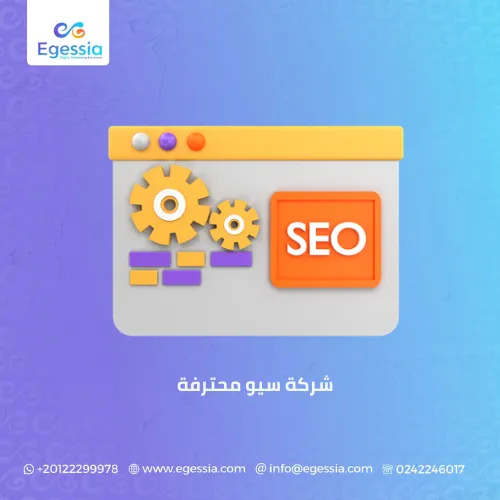 شركة سيو محترفة